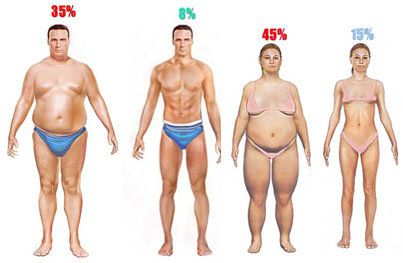 Comparison of male and female bodies with different body fat percentages.